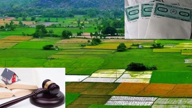 ২০২৫ সালের মধ্যে যে ১১ ধরনের জমি ফিরে পেতে যাচ্ছেন প্রকৃত মালিক ২০২৫ সালের মধ্যে যে ১১ ধরনের জমি ফিরে পেতে যাচ্ছেন প্রকৃত মালিক