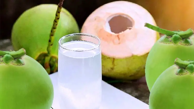 ডাবের পানি কেন পান করবেন? ডাবের পানির উপকারিতা ডাবের পানি কেন পান করবেন? ডাবের পানির উপকারিতা