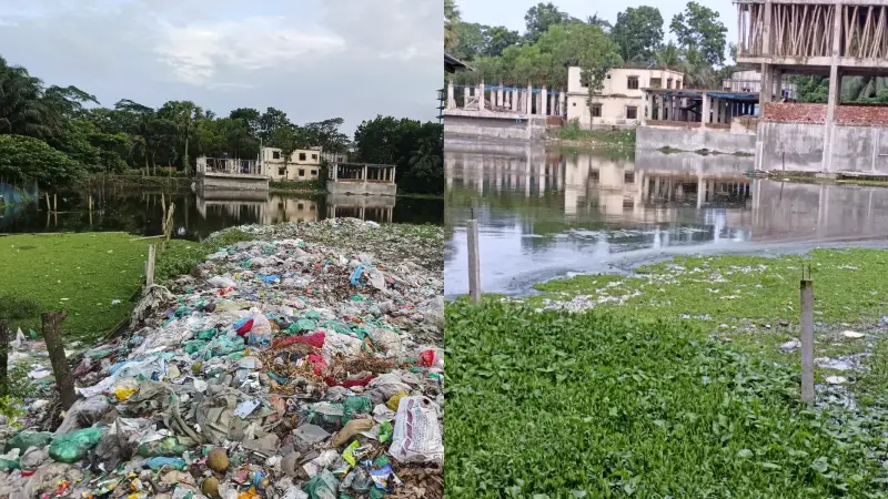 ময়লা ফেলে দিঘি ভরাট: শাহরাস্তিতে পানিদূষণে মরছে মাছ ময়লা ফেলে দিঘি ভরাট: শাহরাস্তিতে পানিদূষণে মরছে মাছ