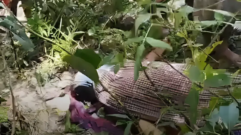 কমলনগরে ছালেহা হত্যাকাণ্ড: তদন্তের ৭ দিনেও নেই দৃশ্যমান কোনো অগ্রগতি কমলনগরে ছালেহা হত্যাকাণ্ড: তদন্তের ৭ দিনেও নেই দৃশ্যমান কোনো অগ্রগতি