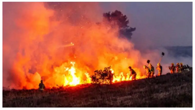 যুক্তরাজ্যে রেকর্ড: ২০১২ সালের পর ভয়াবহ বনজঙ্গল আগুন যুক্তরাজ্যে রেকর্ড: ২০১২ সালের পর ভয়াবহ বনজঙ্গল আগুন