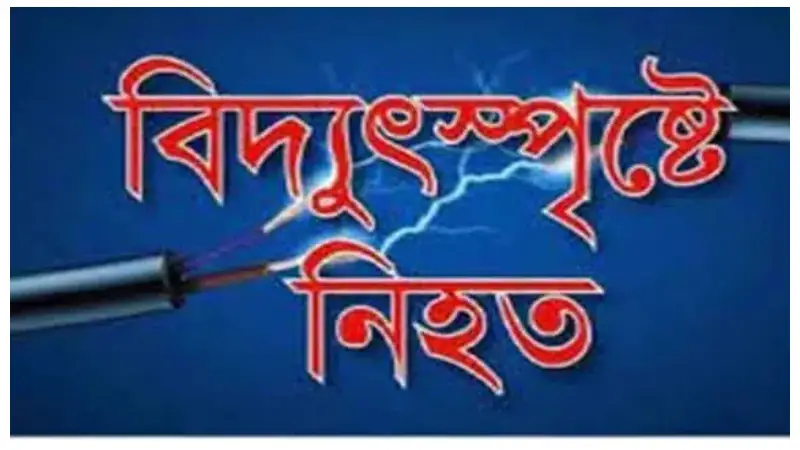 ডিমলায় বিদ্যুৎস্পৃষ্ট হয়ে কিশোরের মৃত্যু, এলাকাজুড়ে শোক