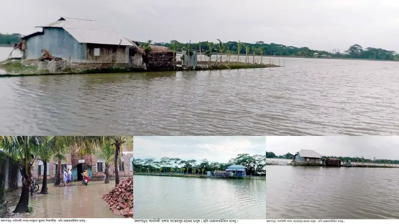 কলাপাড়ায় বিরামহীন বৃষ্টিতে ৪০ গ্রামের মানুষ পানিবন্দী, স্লুইসগেট আটকে ধরা হয় মাছ কলাপাড়ায় বিরামহীন বৃষ্টিতে ৪০ গ্রামের মানুষ পানিবন্দী, স্লুইসগেট আটকে ধরা হয় মাছ