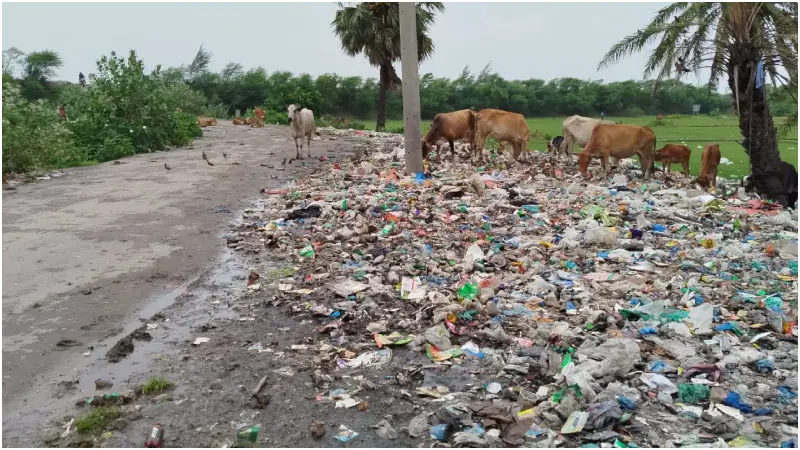 ১৫ বছরে আধুনিক বর্জ্য ব্যবস্থাপনা হয়নি কুয়াকাটায়, বিনষ্ট হচ্ছে পরিবেশ ১৫ বছরে আধুনিক বর্জ্য ব্যবস্থাপনা হয়নি কুয়াকাটায়, বিনষ্ট হচ্ছে পরিবেশ