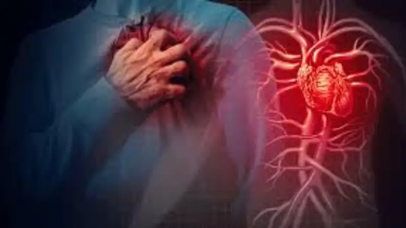 অজান্তেই হার্ট অ্যাটাক ডেকে আনছে যে ৬টি অভ্যাস! অজান্তেই হার্ট অ্যাটাক ডেকে আনছে যে ৬টি অভ্যাস!