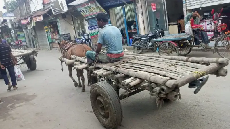হারিয়ে যেতে বসেছে ঐতিহ্যবাহী গরুর গাড়ি হারিয়ে যেতে বসেছে ঐতিহ্যবাহী গরুর গাড়ি