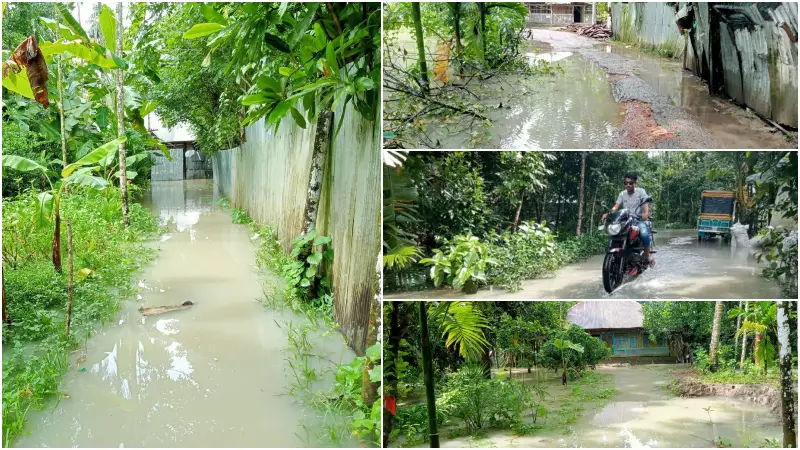 পিরোজপুরে অতিরিক্ত জোয়ারের পানিতে ২০ গ্রাম প্লাবিত, বেড়িবাঁধ না থাকায় ব্যাপক ক্ষতি পিরোজপুরে অতিরিক্ত জোয়ারের পানিতে ২০ গ্রাম প্লাবিত, বেড়িবাঁধ না থাকায় ব্যাপক ক্ষতি