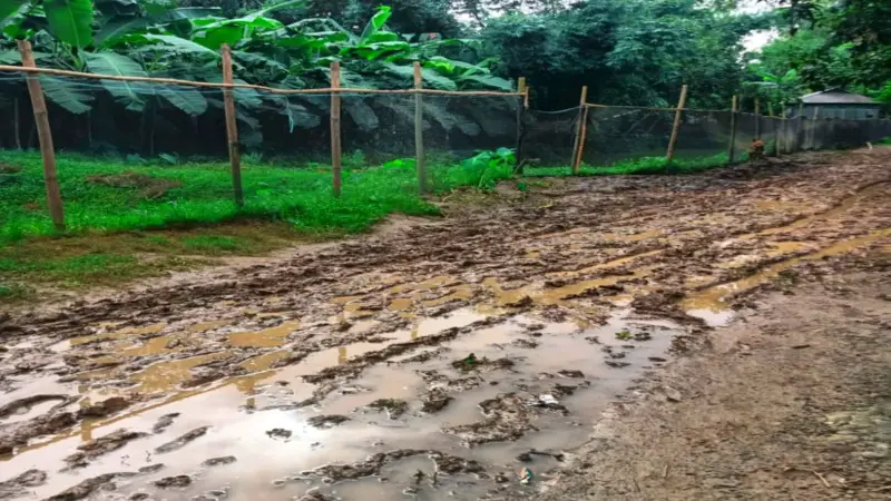 বর্ষা এলেই হাঁটার উপায় থাকে না, শ্রীবরদীর কাঁচা রাস্তা যেন দুর্ভোগের ফাঁদ! বর্ষা এলেই হাঁটার উপায় থাকে না, শ্রীবরদীর কাঁচা রাস্তা যেন দুর্ভোগের ফাঁদ!