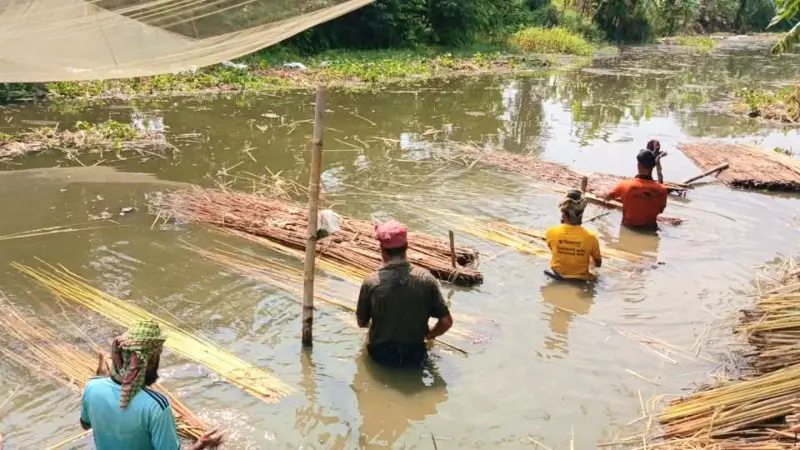 সোনালি আঁশে স্বপ্ন বুনছেন সালথার পাটচাষিরা সোনালি আঁশে স্বপ্ন বুনছেন সালথার পাটচাষিরা