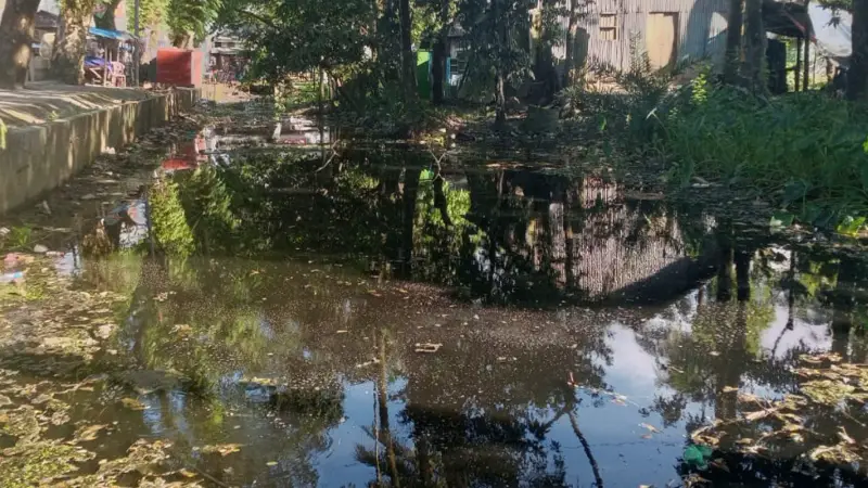 আমতলী পৌরসভা কী ঘুমাচ্ছে? ডোবা-নালায় মশার রাজত্ব, দুর্ভোগে পৌরবাসী! আমতলী পৌরসভা কী ঘুমাচ্ছে? ডোবা-নালায় মশার রাজত্ব, দুর্ভোগে পৌরবাসী!