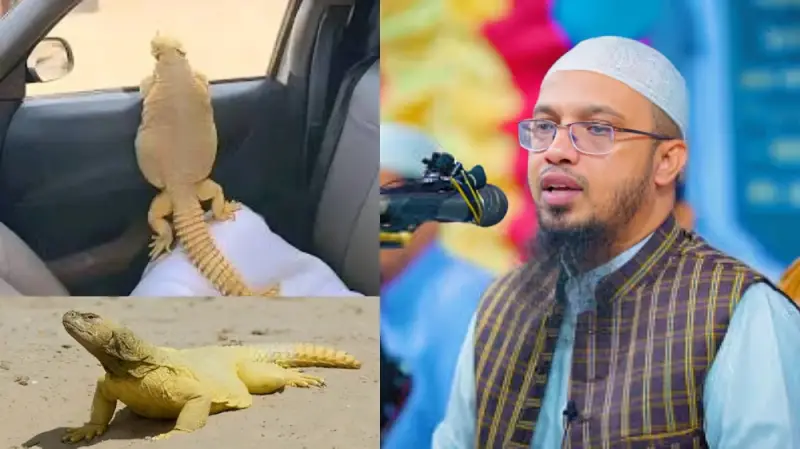 সান্ডা খাওয়া কি হারাম? জানালেন শায়খ আহমাদুল্লাহ সান্ডা খাওয়া কি হারাম? জানালেন শায়খ আহমাদুল্লাহ