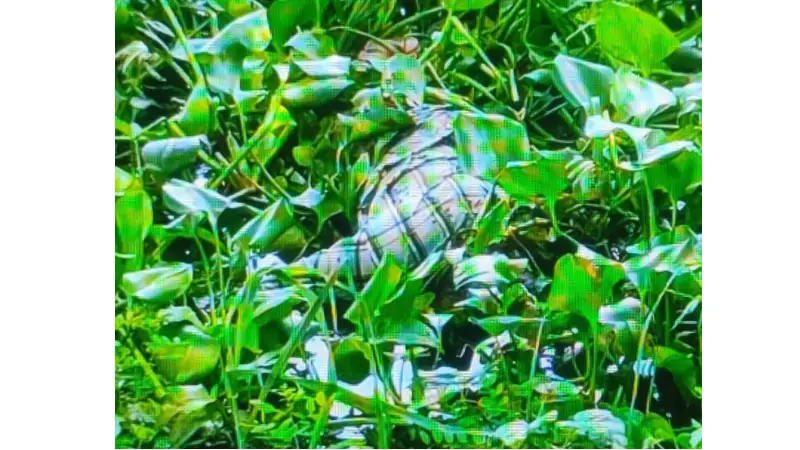 নালায় ভেসে উঠল অজ্ঞাত লাশ, তদন্তে পুলিশ নালায় ভেসে উঠল অজ্ঞাত লাশ, তদন্তে পুলিশ