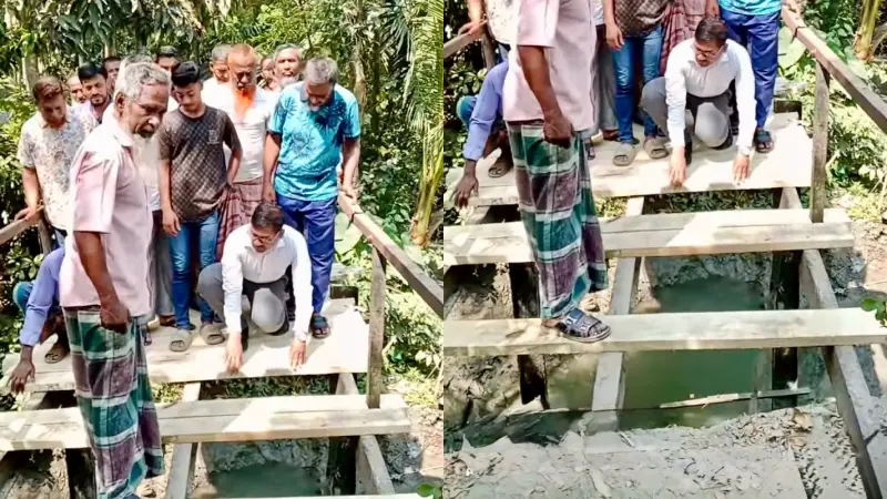 বাউফলে ব্যক্তিগত উদ্যোগে কাঠের সেতু নির্মাণ বাউফলে ব্যক্তিগত উদ্যোগে কাঠের সেতু নির্মাণ