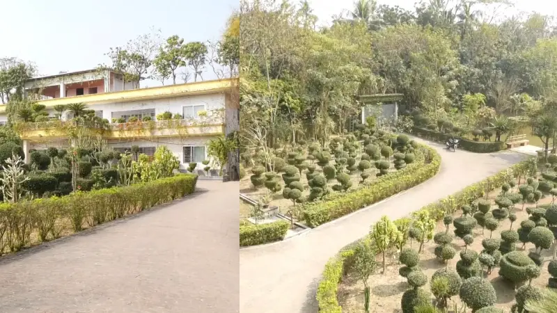 ঝিনাইদহে পাঁচ শত প্রজাতির ১০ হাজার গাছ নিয়ে গড়ে উঠেছে ’গাছ বাড়ি’ ঝিনাইদহে পাঁচ শত প্রজাতির ১০ হাজার গাছ নিয়ে গড়ে উঠেছে ’গাছ বাড়ি’