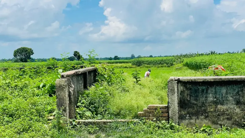বাজেটের অভাবে অরক্ষিত ইবির সীমানা প্রচীর বাজেটের অভাবে অরক্ষিত ইবির সীমানা প্রচীর