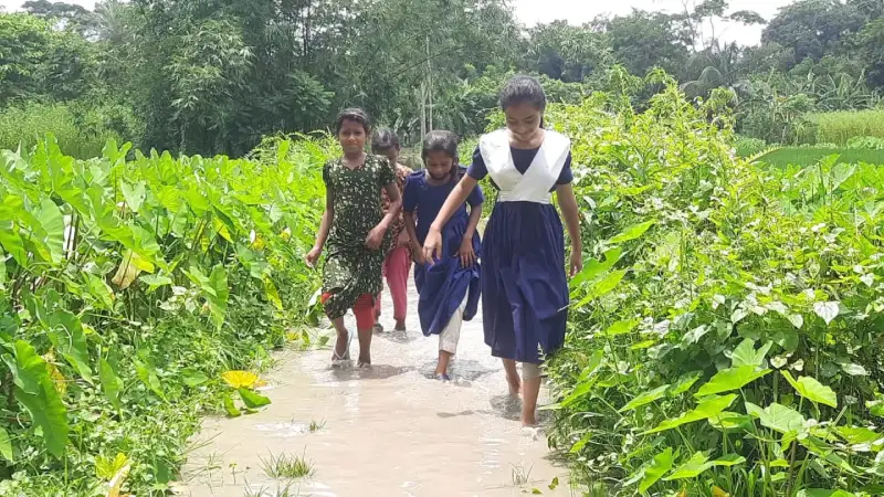 শরীয়তপুরের ডামুড্যার দাইমীর চর ভয়রা সরকারি প্রাথমিক বিদ্যালয়ের শিক্ষার্থীদের যাতায়াতে চরম ভোগান্তি