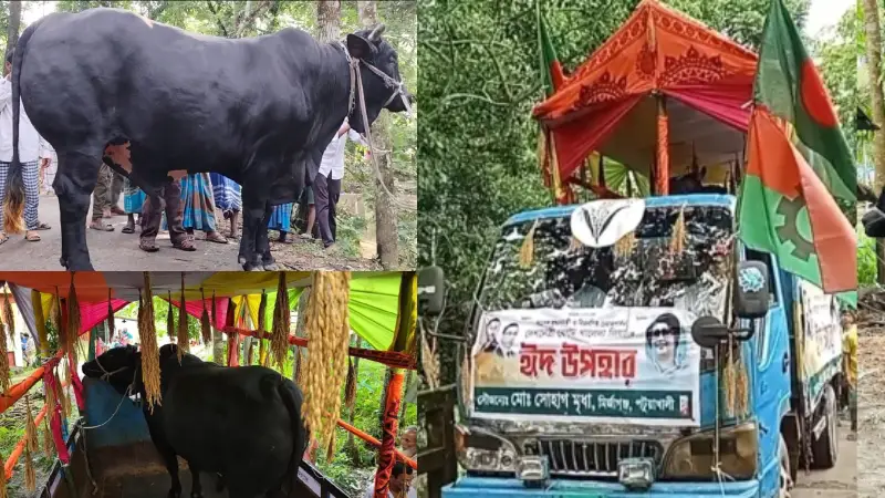 পটুয়াখালীর কালো মানিক এখন খালেদা জিয়ার বাসার সামনে পটুয়াখালীর কালো মানিক এখন খালেদা জিয়ার বাসার সামনে