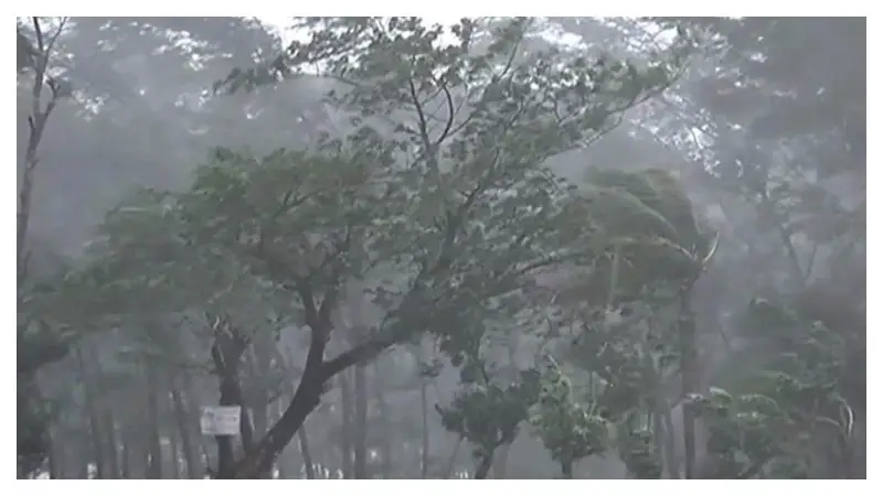ঝড়-বৃষ্টির আশঙ্কা ৭ জেলায়, নদীবন্দরে ১ নম্বর সতর্কতা ঝড়-বৃষ্টির আশঙ্কা ৭ জেলায়, নদীবন্দরে ১ নম্বর সতর্কতা
