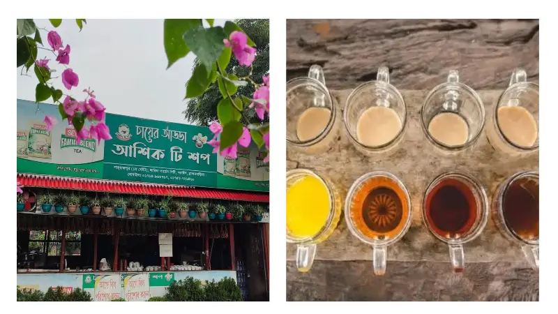 ২৬০ রকমের চা আর আশিকের পথচলার গল্প ২৬০ রকমের চা আর আশিকের পথচলার গল্প