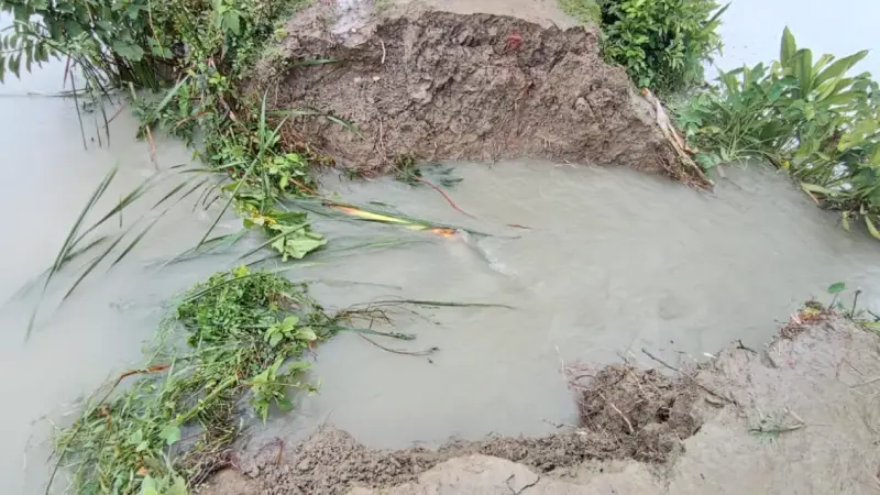 দুমকীতে বাঁধ ভেঙে পানিবন্দি শতাধিক পরিবার দুমকীতে বাঁধ ভেঙে পানিবন্দি শতাধিক পরিবার