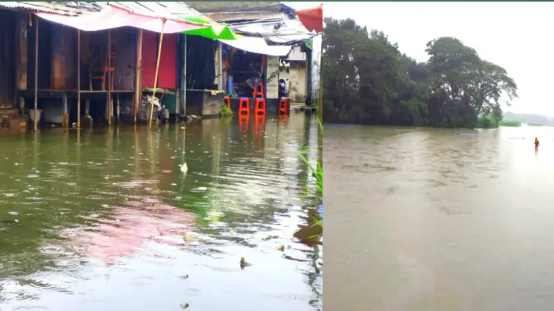 টানা কয়েকদিনের বৃষ্টিতে তলিয়ে গেছে বাড়িঘর, মৎস্য ঘের, ফসলের মাঠ:তালার নিম্ন আয়ের মানুষ চরম বিপাকে টানা কয়েকদিনের বৃষ্টিতে তলিয়ে গেছে বাড়িঘর, মৎস্য ঘের, ফসলের মাঠ:তালার নিম্ন আয়ের মানুষ চরম বিপাকে