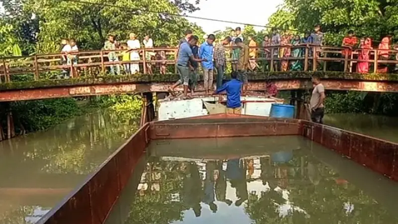 বাউফলে ব্রিজের সাথে বাল্কহেডের ধাক্কা: শরীর থেকে মাথা বিচ্ছিন্ন শ্রমিকের বাউফলে ব্রিজের সাথে বাল্কহেডের ধাক্কা: শরীর থেকে মাথা বিচ্ছিন্ন শ্রমিকের