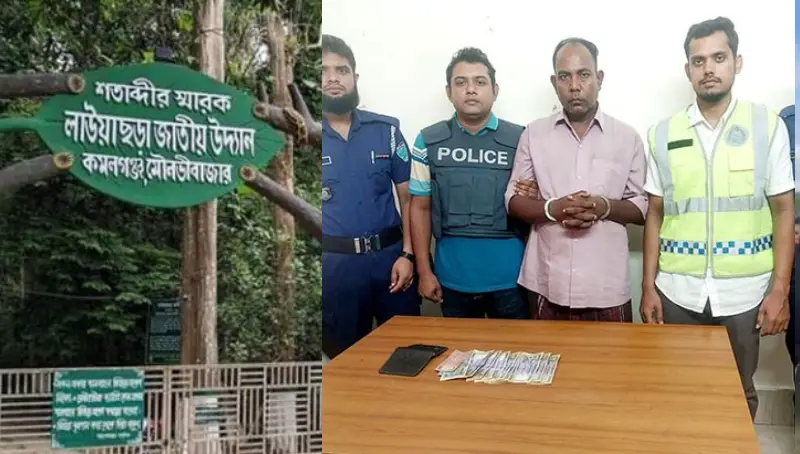 লাউয়াছড়ায় ডাকাতির ঘটনায় আরও একজন গ্রেফতার লাউয়াছড়ায় ডাকাতির ঘটনায় আরও একজন গ্রেফতার
