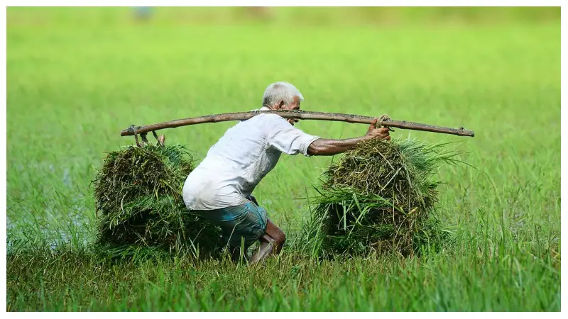 যে ৫টি কারণে পুরুষরা পরিবারের জন্য যেকোনো ত্যাগ স্বীকার করতে পারে যে ৫টি কারণে পুরুষরা পরিবারের জন্য যেকোনো ত্যাগ স্বীকার করতে পারে