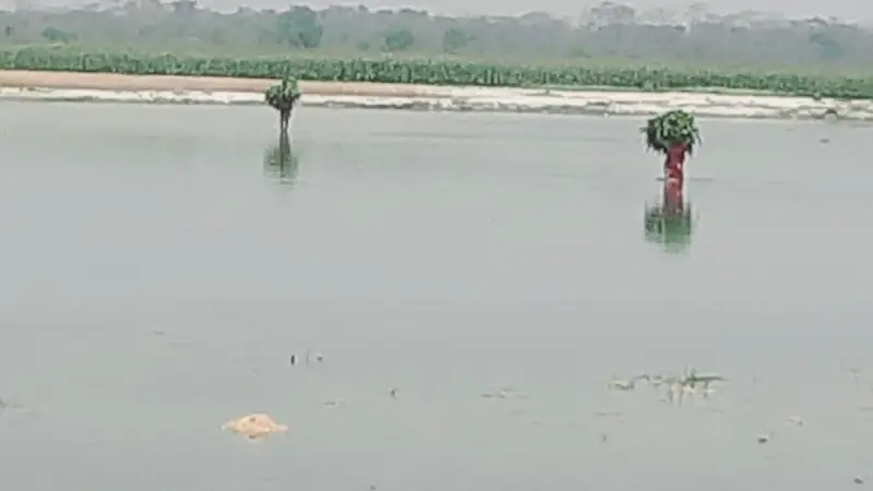 নিখোঁজ ছাত্রের মরদেহ ভাসছিল তিস্তায় নিখোঁজ ছাত্রের মরদেহ ভাসছিল তিস্তায়
