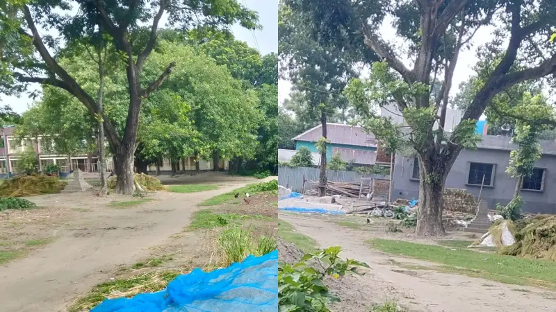 ঐতিহ্যবাহী গ্রাম গঞ্জের মাটির তৈরি রাস্তা 