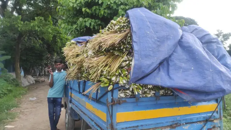 শাপলা বিক্রি করে চলে সংসার—বর্ষার সঙ্গে বাঁধা শত শত জীবন শাপলা বিক্রি করে চলে সংসার—বর্ষার সঙ্গে বাঁধা শত শত জীবন