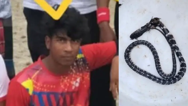 সাপ নিয়ে খেলতে গিয়ে কিশোরের মর্মান্তিক মৃত্যু
