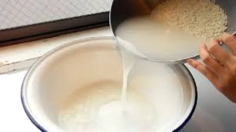 চুল ও ত্বকের যত্নে চালের পানির অবিশ্বাস্য ১০টি উপকারিতা চুল ও ত্বকের যত্নে চালের পানির অবিশ্বাস্য ১০টি উপকারিতা