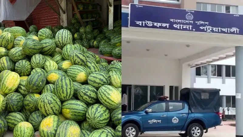 বাউফলে তরমুজের ট্রলার ডাকাতি, আহত-৯ বাউফলে তরমুজের ট্রলার ডাকাতি, আহত-৯