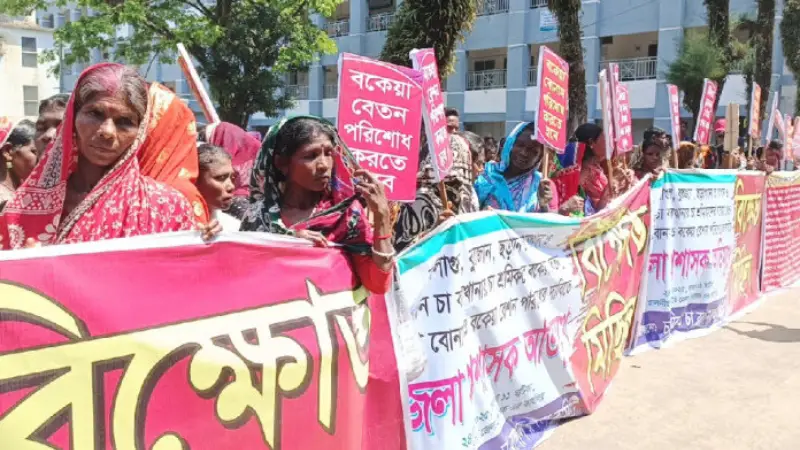 মজুরি না পেয়ে উত্তাল সিলেটের তিন চা বাগান: রাস্তায় আন্দোলনে চা শ্রমিকেরা মজুরি না পেয়ে উত্তাল সিলেটের তিন চা বাগান: রাস্তায় আন্দোলনে চা শ্রমিকেরা