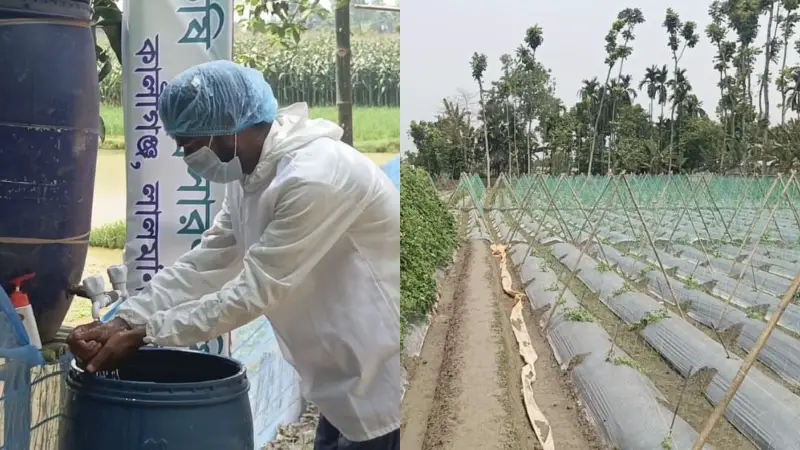 বিষ ছাড়া বিষ্ময়: গ্রামের মাঠে নিরাপদ সবজির বিপ্লব বিষ ছাড়া বিষ্ময়: গ্রামের মাঠে নিরাপদ সবজির বিপ্লব
