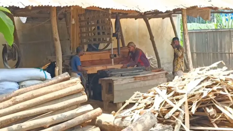 রামুতে অবৈধ করাতকলে ধ্বংস হচ্ছে সংরক্ষিত বনভূমি রামুতে অবৈধ করাতকলে ধ্বংস হচ্ছে সংরক্ষিত বনভূমি