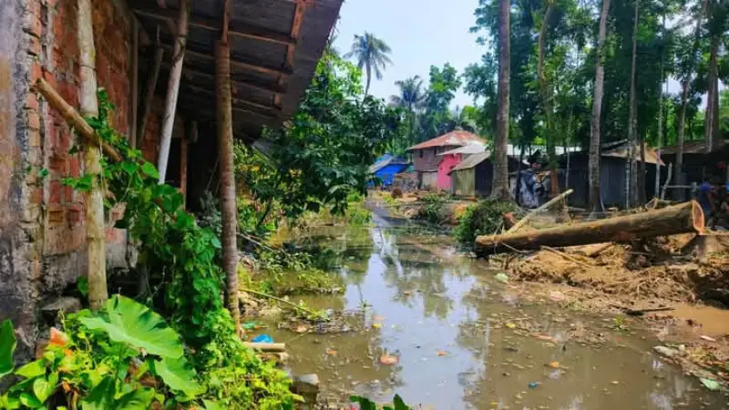 পিরোজপুর শহরে শত বছরের পুরনো ভাড়ানি খাল পুনঃখনন: উচ্ছ্বসিত শহরবাসী পিরোজপুর শহরে শত বছরের পুরনো ভাড়ানি খাল পুনঃখনন: উচ্ছ্বসিত শহরবাসী