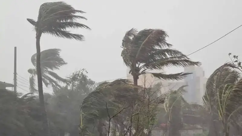 রাতের মধ্যেই ঝড়বৃষ্টি হতে পারে দেশের ১০ জেলায়