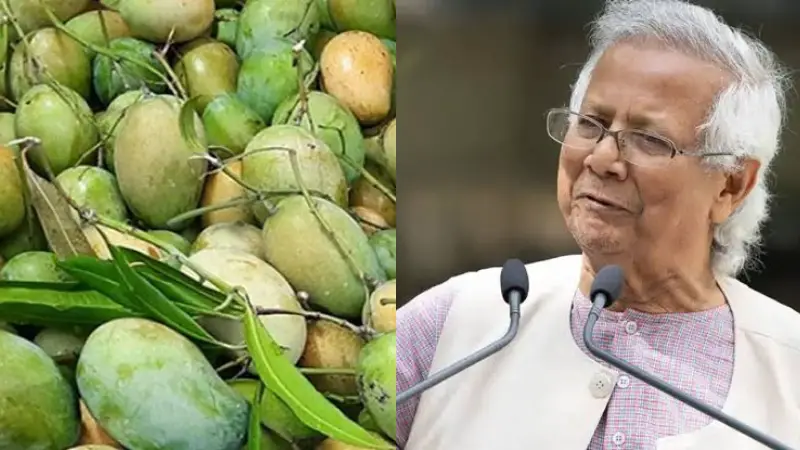 আম দিয়ে ভারতকে উচিৎ জবাব দিলো বাংলাদেশ! আম দিয়ে ভারতকে উচিৎ জবাব দিলো বাংলাদেশ!