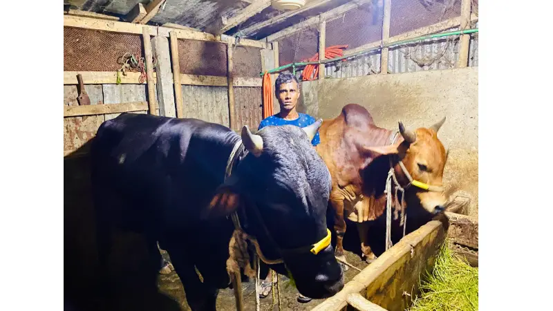 ঈদুল আজহা উপলক্ষে বালাগঞ্জে কোরবানির জন্য প্রস্তুত ৮ হাজার ৮৯৬ পশু ঈদুল আজহা উপলক্ষে বালাগঞ্জে কোরবানির জন্য প্রস্তুত ৮ হাজার ৮৯৬ পশু