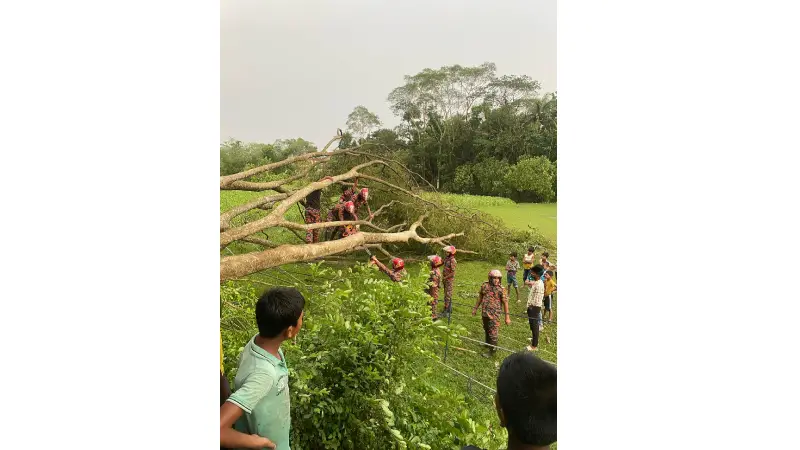 মাদারীপুরের কালকিনিতে কালবৈশাখী ঝড়ে ব্যাপক ক্ষয়ক্ষতি মাদারীপুরের কালকিনিতে কালবৈশাখী ঝড়ে ব্যাপক ক্ষয়ক্ষতি