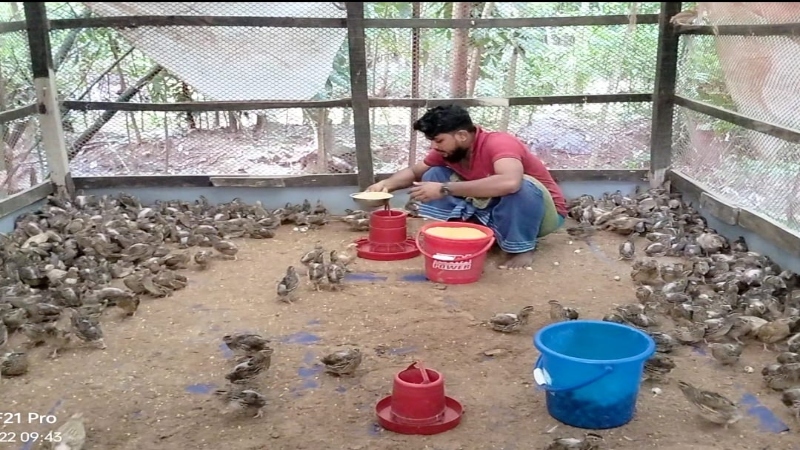 চাকরির পিছে না ঘুরে কোয়েল পাখির খামার করে সফল উদ্যোক্তা বেল্লাল চাকরির পিছে না ঘুরে কোয়েল পাখির খামার করে সফল উদ্যোক্তা বেল্লাল