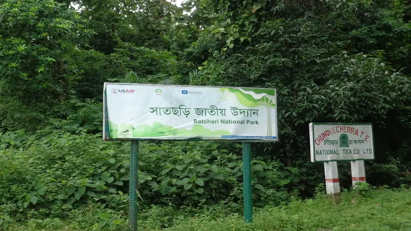সাতছড়ি উদ্যান থেকে সেগুনগাছ কেটে নিয়ে গেছে চোরেরা সাতছড়ি উদ্যান থেকে সেগুনগাছ কেটে নিয়ে গেছে চোরেরা