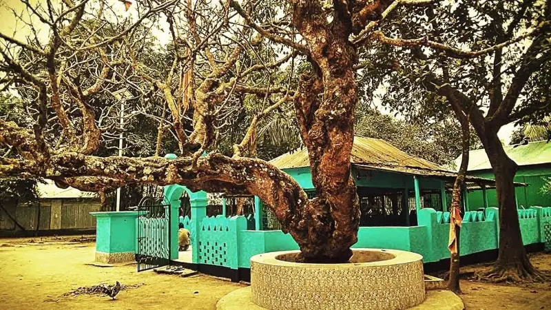 শেরপুরের ইতিহাস-ঐতিহ্যের জীবন্ত সাক্ষী, শের আলী গাজীর মাজার শেরপুরের ইতিহাস-ঐতিহ্যের জীবন্ত সাক্ষী, শের আলী গাজীর মাজার