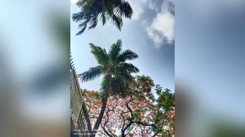এই ক্যাম্পাস এই ক্যাম্পাস