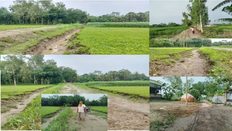 ‘কাজের বিনিময়ে খাদ্য’ নয়, বরাদ্দ গেল ভেকু ভাড়ায়! ‘কাজের বিনিময়ে খাদ্য’ নয়, বরাদ্দ গেল ভেকু ভাড়ায়!