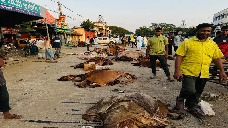 তিন লক্ষ টাকার গরুর চামড়া বিক্রি ৩০০ টাকা তিন লক্ষ টাকার গরুর চামড়া বিক্রি ৩০০ টাকা