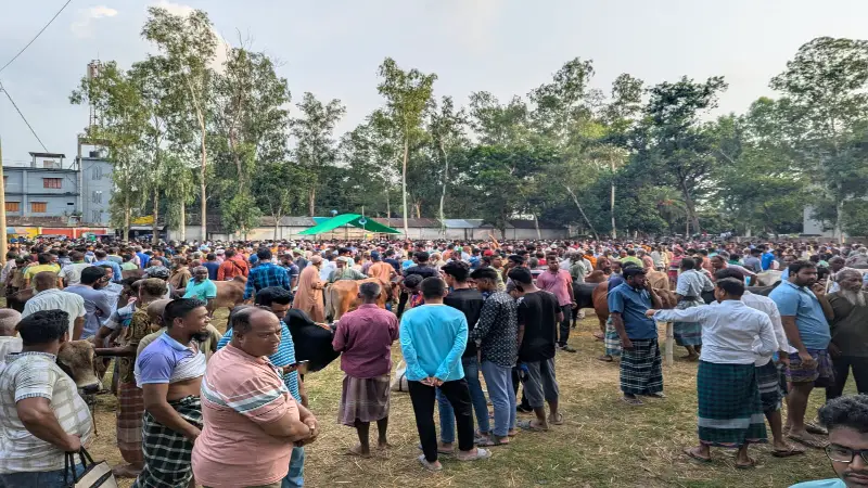 শাজাহানপুরে কোরবানির বাজারে গরুর মন্দা, বিপাকে খামারি ও বিক্রেতা শাজাহানপুরে কোরবানির বাজারে গরুর মন্দা, বিপাকে খামারি ও বিক্রেতা