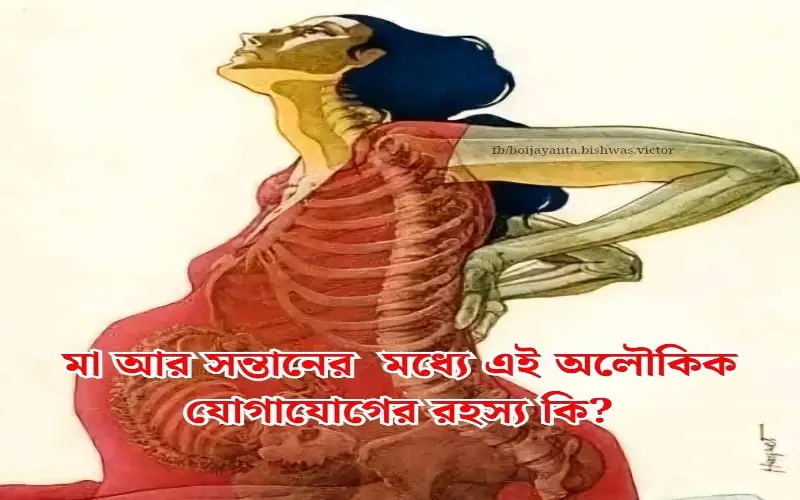 মা আর সন্তানের মধ্যে এই অলৌকিক যোগাযোগের রহস্য কি? মা আর সন্তানের মধ্যে এই অলৌকিক যোগাযোগের রহস্য কি?